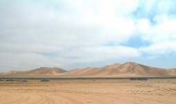 Wüste Szene