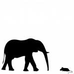 Elephant And Mouse Silhouette