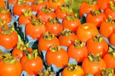 Persimmons for sale