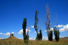 Poplars And Butte