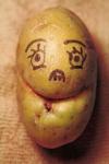 Potato Face