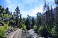 Road și Stream Wilderness