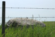 Rock Grass Barbed Wire Fence Sky
