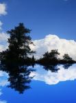 деревья и кучевые облака отражение