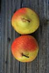 Two blushing pears