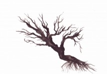 Acuarela Spooky copac Ilustrație
