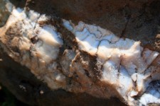White layer in rock