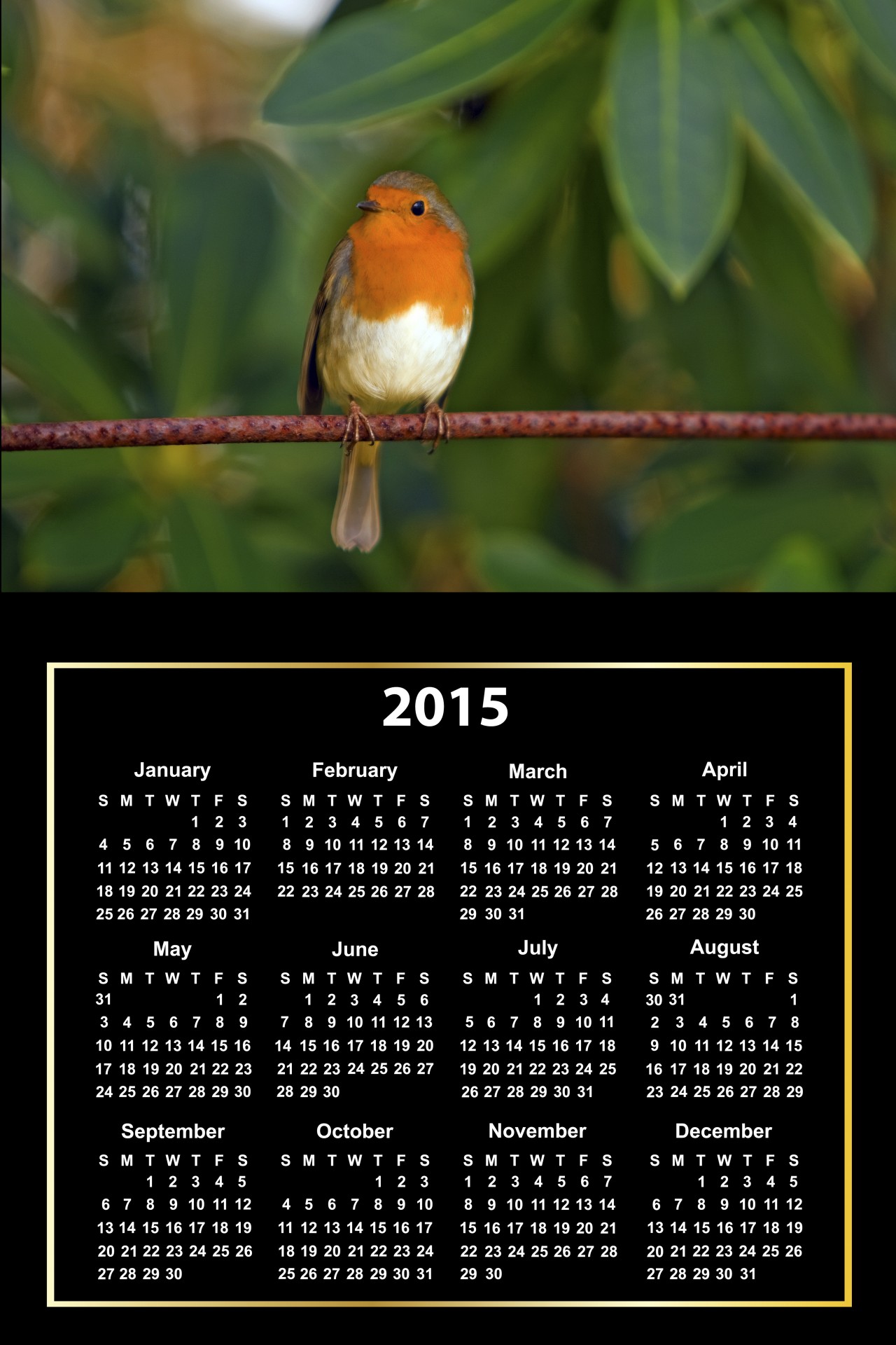 15カレンダーかわいい鳥 無料画像 Public Domain Pictures