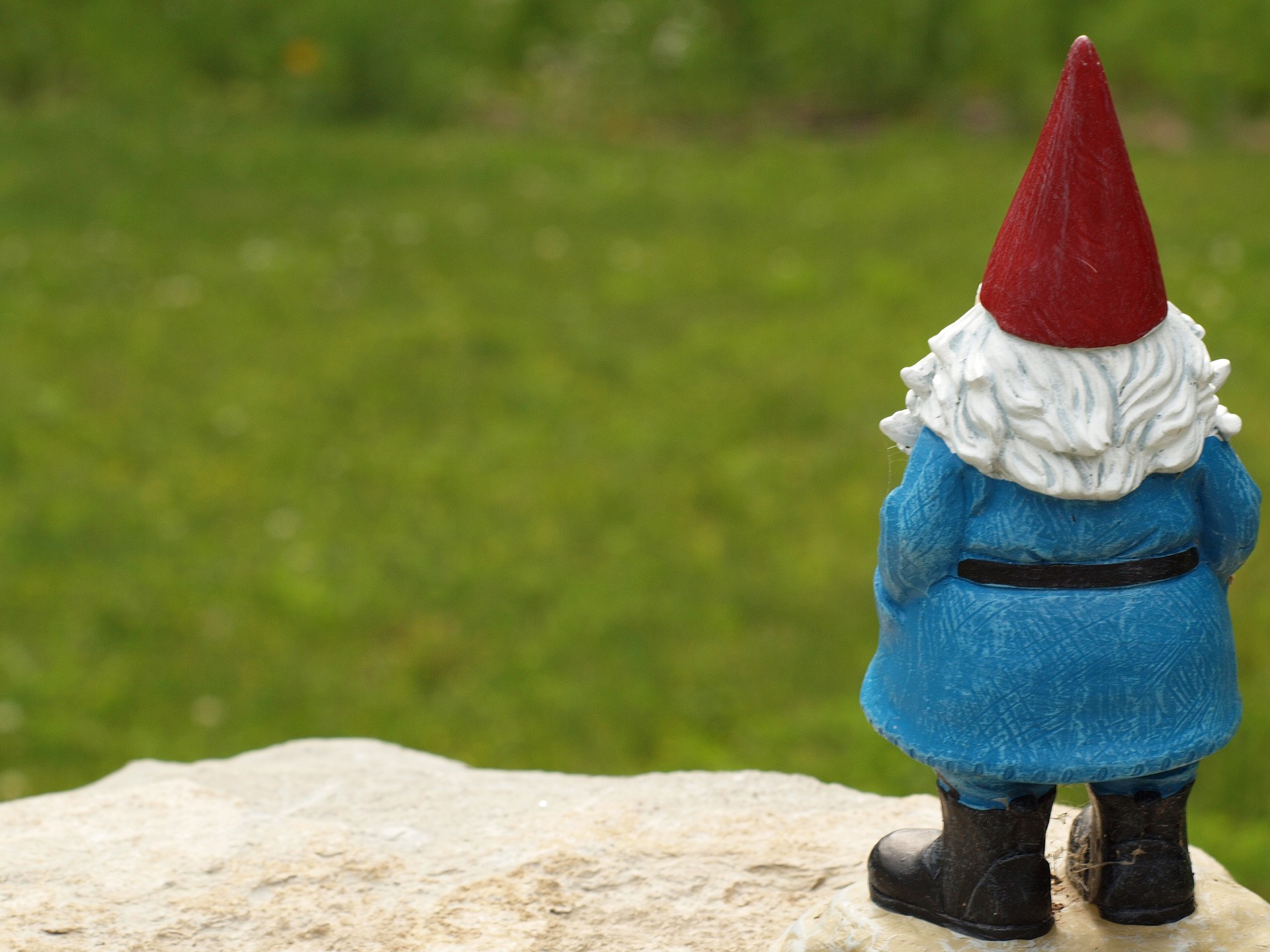 Garden gnome looks out across yard from a rock