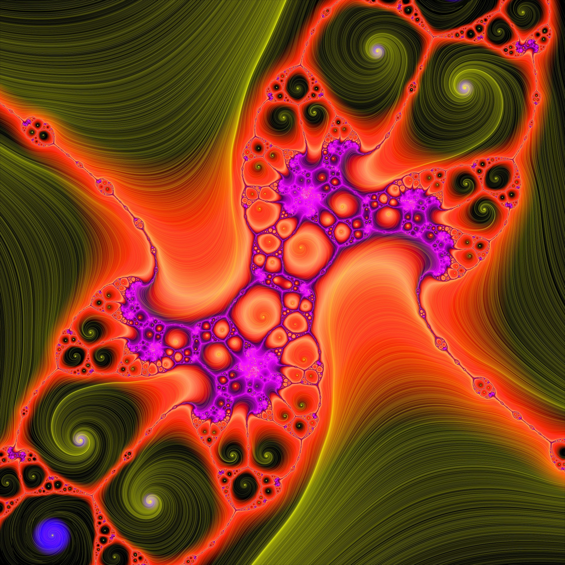 high-detailed-fractal-image-free-stock-photo-public-domain-pictures