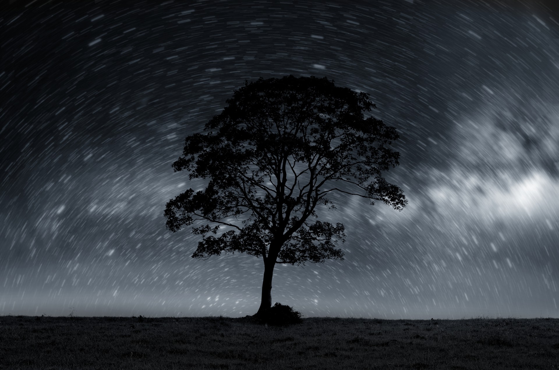 Night Sky With Lonely Tree