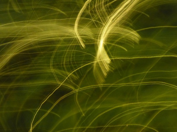Abstract Moving Lights Background Free Stock Photo - Public Domain Pictures