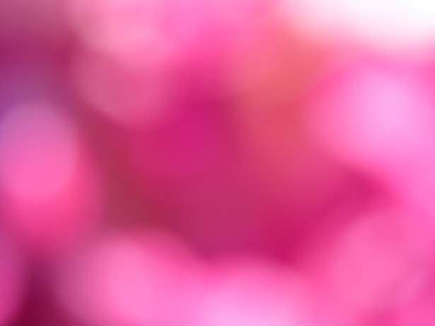 Pink Bokeh Background Free Stock Photo - Public Domain Pictures