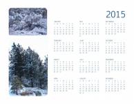 2015 de iarna calendar anual