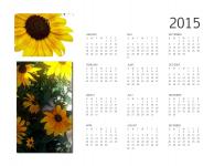 2015 Cifra de floarea-soarelui Calendar