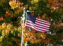美国国旗的树叶背景