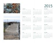 Anuale din 2015 calendar