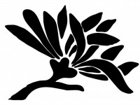 Silhueta Flor asiática