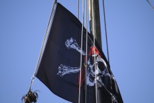 Close-up of Pirate Flag