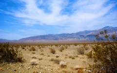 Desolazione del deserto del Mojave