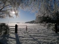 早朝の雪景色