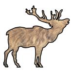 Elk drawing