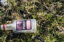 Üres alkohol palack on Grass