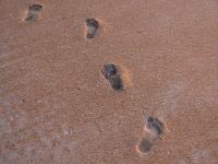Footprints pe plaja