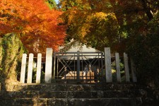 Kyoto couleurs d'automne