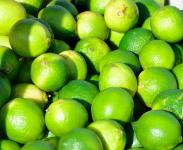 Limes na prodej
