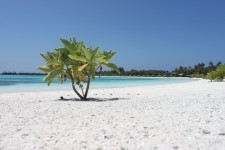 Мальдивские