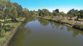 River Maribyrnong a Bush