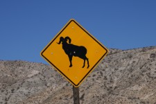 Cabra de montanha Warning Sign