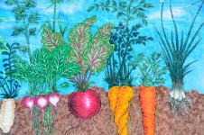 Freskó kerti zöldségekkel