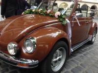 Staruszek Volkswagen Beetle