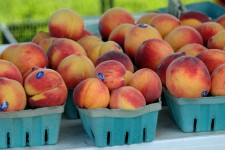 Peaches for sale
