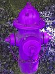Фиолетовый пожарный гидрант