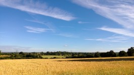 Rollende Landschaft in Kent
