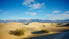 Písečné duny v Death Valley