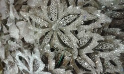 Floare de argint Crăciun