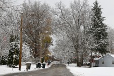 Rue de banlieue Snowy