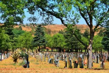 Stromy a hroby vojenský hřbitov