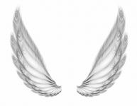 Two Wings