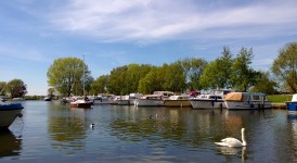 Waveney Quay лодки и лебедь