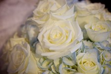 White Rose Bouquet Detail
