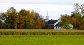 Bílá věž kostela a kukuřice