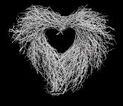 White twigs heart