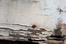 Wood And Flaking Paint