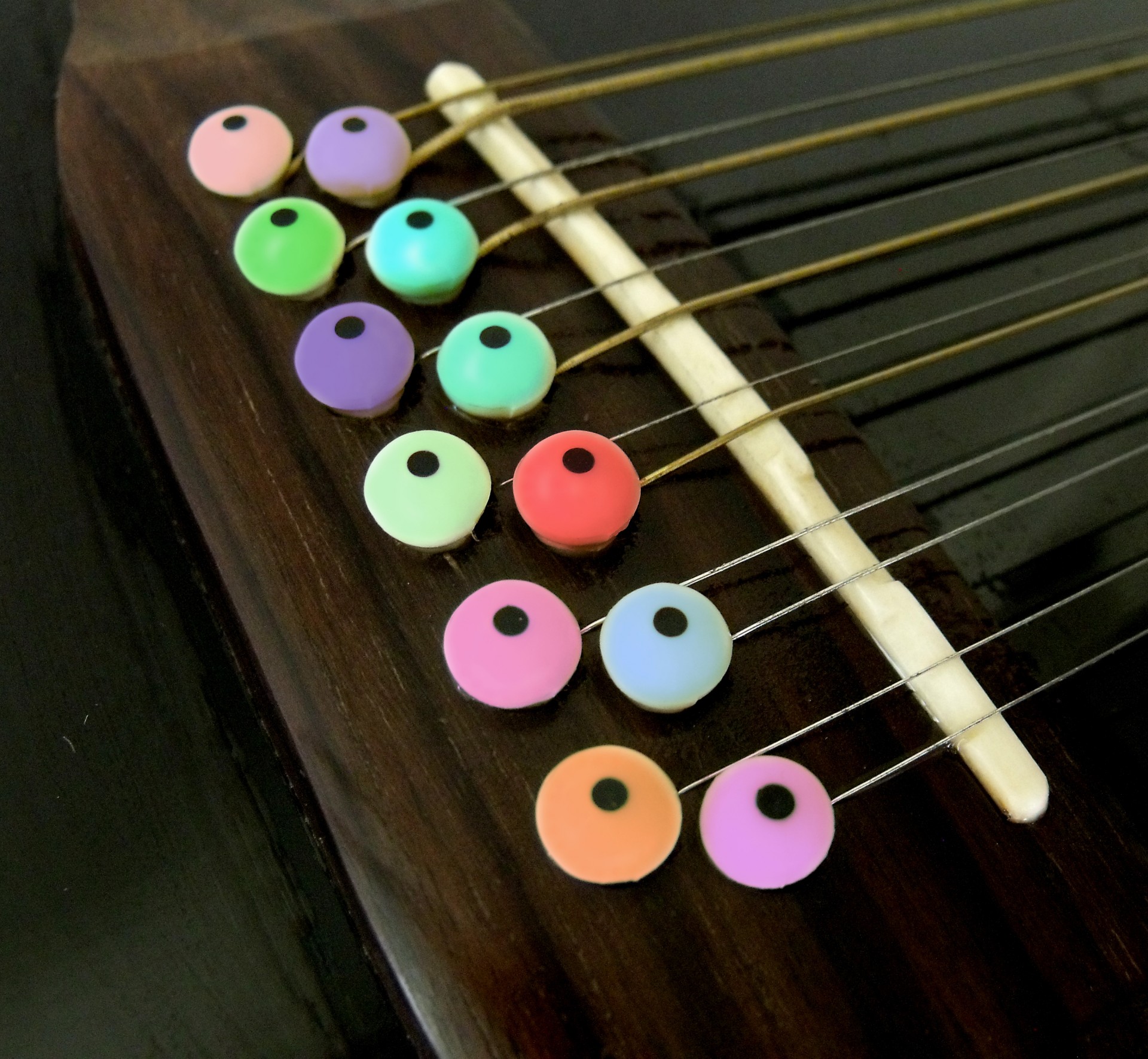 12 string chitara