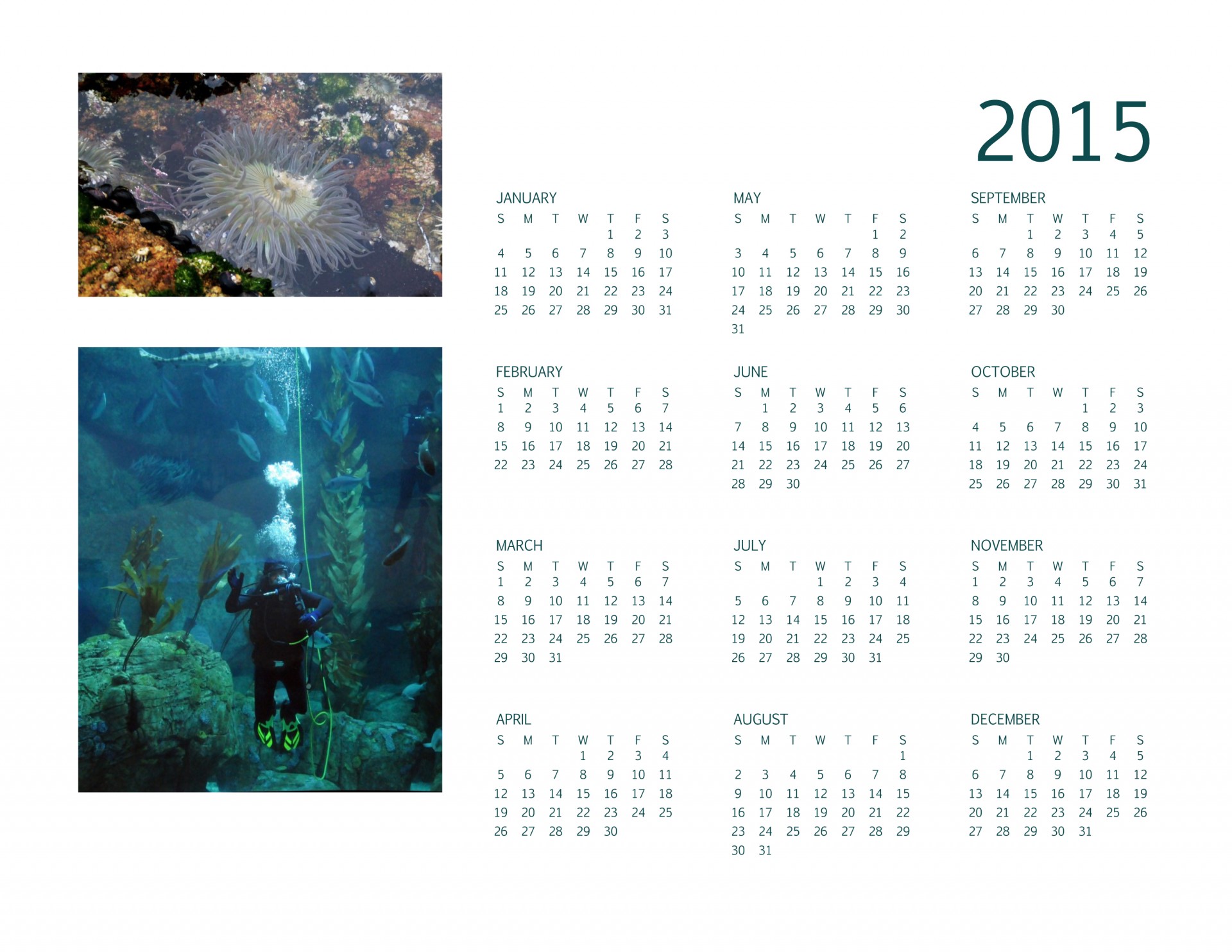 2015 calendar anual